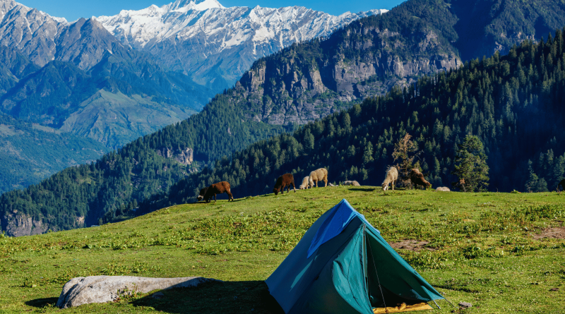Camping Destinations in India