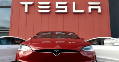 Tesla in India