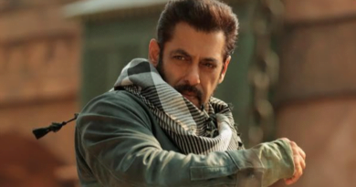 Tiger 3 Star Salman Khan Cautions Against Fireworks in Theatres