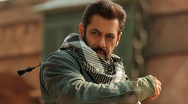 Tiger 3 Star Salman Khan Cautions Against Fireworks in Theatres