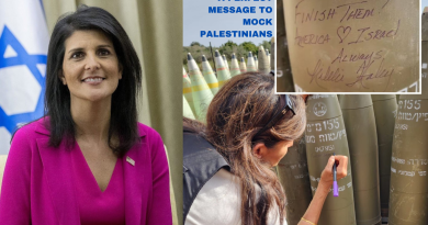 Nikki Haley on Israel and Palestine