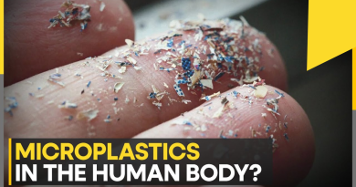 micro plastic found in humans