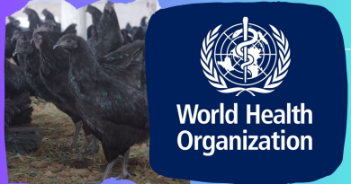 Bird Flu World Health Organization WHO